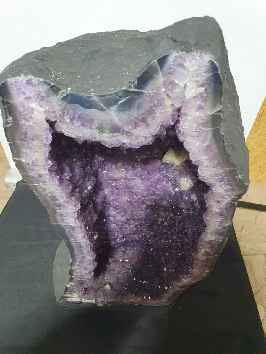 GEODA DRUSA AMATISTA G65 - 3